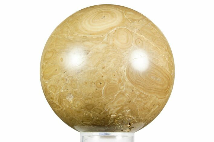 Polished Bird's Eye Jasper (Rhyolite) Sphere - Utah #371224